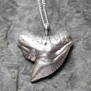 handmade-ethical-Tiger-Shark-Tooth-Necklace