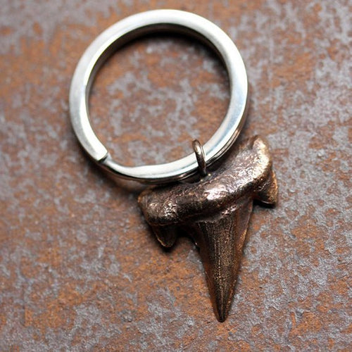 Bronze Shark Tooth Keychain