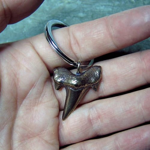 Bronze Shark Tooth Keychain