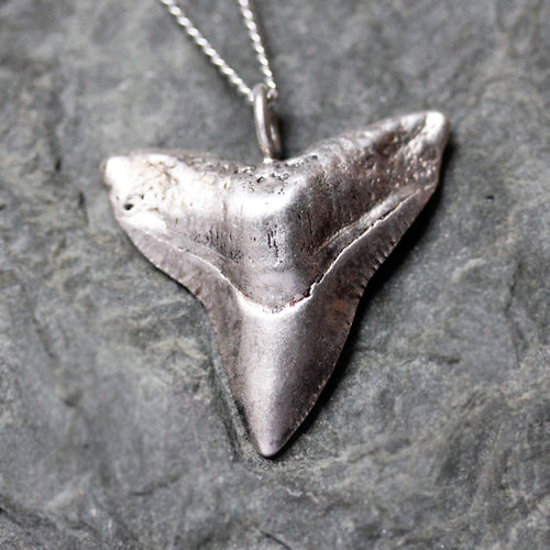 bull-shark-tooth-necklace