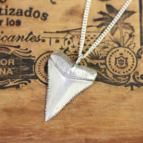 Sterling Silver Great White Shark Tooth Necklace